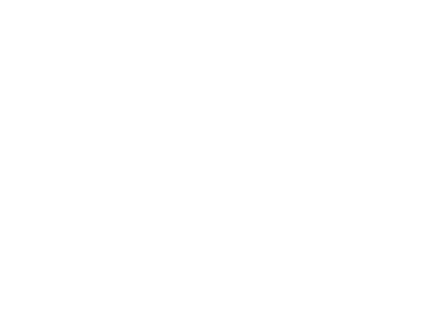 LOGO IDV_blanc